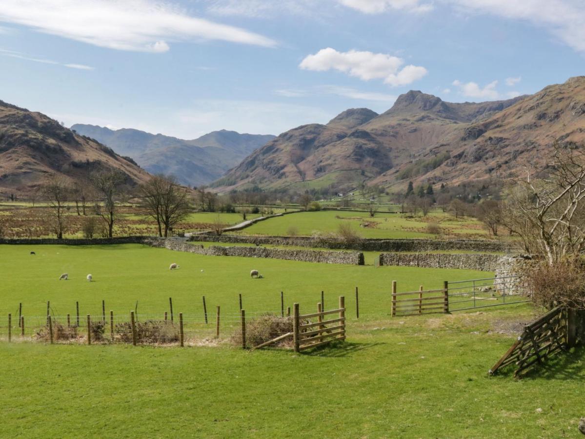 Fellside View